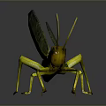 Detailed 3D Rendered Grasshopper With Yellow Green Body And Shiny Wings On Dark Background