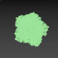 Lush Green Tree With Vibrant Foliage And Full Canopy In Natural Setting