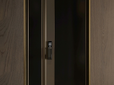 Light Luxury Entry Door and Mother Door Security Door model