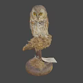 Detailed Owl Perched On Rustic Wooden Base Against Brown Background 3d model