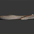 Brown And White Striped Snake Coiled On Smooth Black Surface