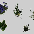 Garden Landscape With Various Lush Green Shrubs And Colorful Flowers