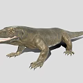 Komodo Dragon With Open Mouth Grayish Brown Skin And Sharp Claws Standing