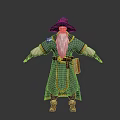 Wise Old Fantasy Wizard Character In Green Robe With Decorated Hat Long Beard And Scroll