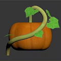 Fresh Orange Pumpkin with Green Vine and Leaves on Dark Background