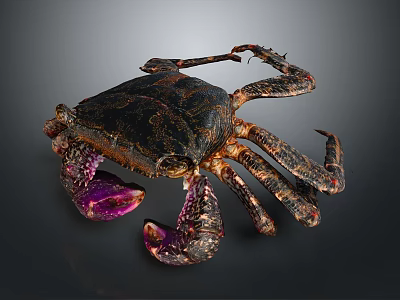 Detailed Crab With Dark Carapace Purple Claws And Multiple Legs On Dark Background 3d model