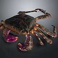 Detailed Crab With Dark Carapace Purple Claws And Multiple Legs On Dark Background