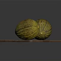 Two Fresh Yellow Green Striped Melons Placed on a Wooden Cutting Board