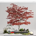 Tree Landscape Tree Red Maple Plant Pile 3d model