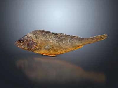 Dried Fish With Brown Yellow Surface On Dark Reflective Background 3d model