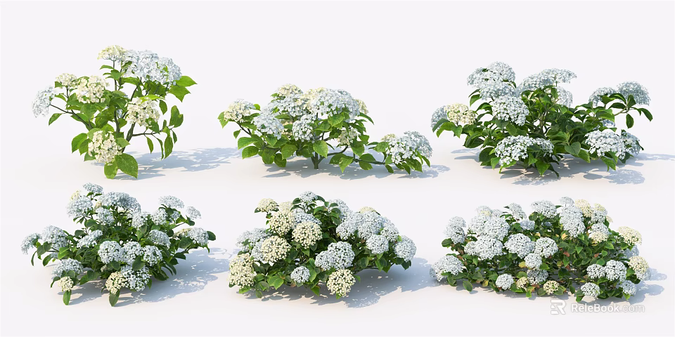 Multiple Clusters of White Flower Bushes with Green Leaves for Garden Decoration 3d model 