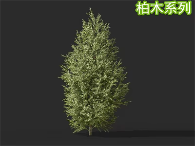 Lush Green Cypress Tree Series with Dense Foliage and Natural Shape 3d model