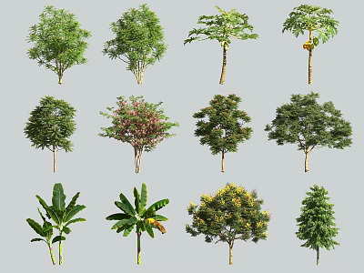 Diverse Arbor Tree Varieties Showcasing Different Leaf Shapes And Crown Forms 3d model