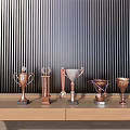 Trophies and Medals Displayed on Wooden Long Table with Black Vertical Striped Wall
