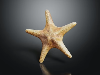 Detailed Orange Brown Five Armed Starfish On Dark Reflective Background Surface 3d model