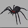 Black Spider With Red Eyes Featuring Detailed Realistic Design on Dark Background