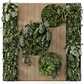 Living Plant Wall Design With Wooden Background And Circular Green Plant Decor