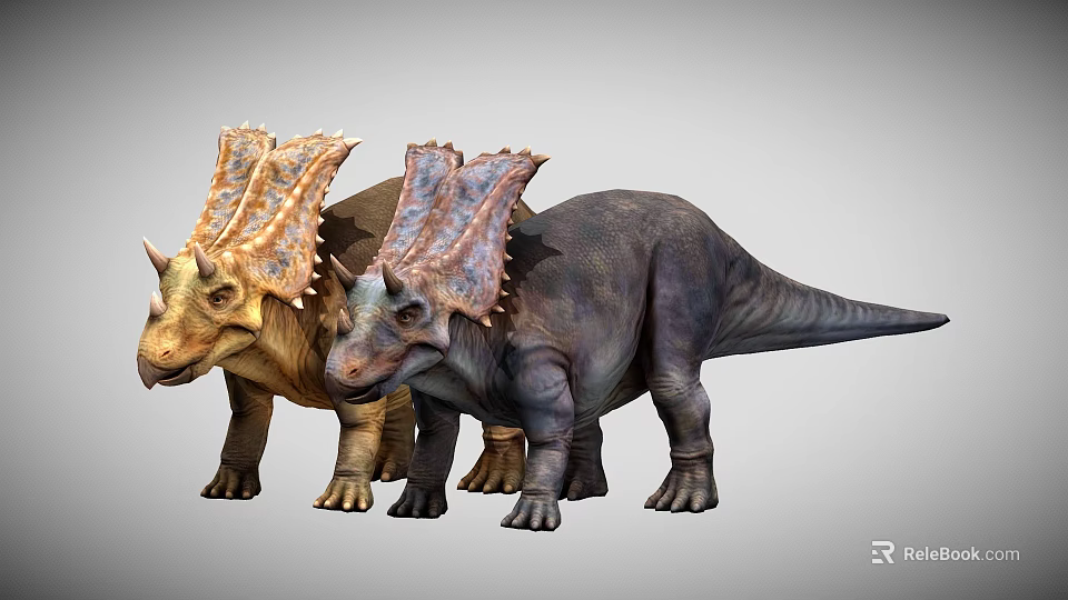 Two Different Colored Dinosaurs With Large Frills And Horns Standing Together 3d model 