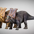 Two Different Colored Dinosaurs With Large Frills And Horns Standing Together