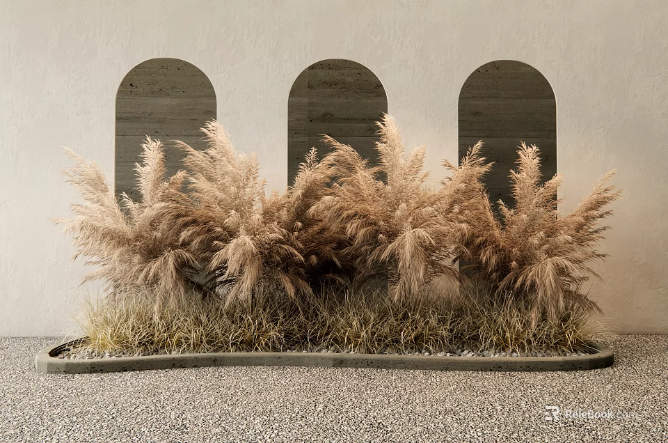 Lush Pampas Grass Display In Front Of Arched Windows With Gray Stone Ground 3d model 