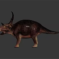 Realistic Triceratops Dinosaur 3D Model With Standing Posture And Texture