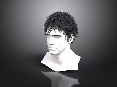 Realistic Human Head 3D Model With Detailed Facial Organs And Short Black Hair 3d model