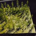 Pine Forest Plant Trees Pine Tree Flowers Forest Scene 3d model