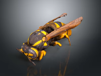 Realistic Wasp With Black And Yellow Stripes Detailed Wings And Extended Legs 3d model