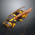 Realistic Wasp With Black And Yellow Stripes Detailed Wings And Extended Legs
