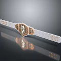 White Championship Belt With Gold Accents Octagonal Center Emblem And Reflective Surface