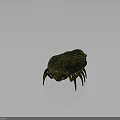 Ancient Trilobite Prehistoric Marine Arthropod With Segmented Body Spotted Exoskeleton And Multiple Legs