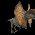 Double Crest Dragon Double Crowned Dragon Dinosaur Reptile Ancient Biology Meat-eating Dinosaur Jurassic Low Face Number Low Model Simple Model Game Movie and TV Level Super Realistic 3d model
