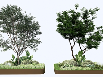 Modern flower bed plant pile tree pool 3d model