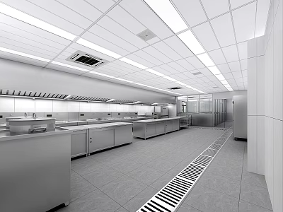 Commercial Kitchen Interior With Stainless Steel Workstations Ceiling Lighting And Floor Drain 3d model