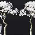 Two Trees with Curved Trunks Covered in White Flowers and Standing Human Figure Sculpture