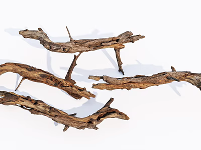 Natural Stone and Wood Decorative Branches for Rustic Home Design Projects 3d model