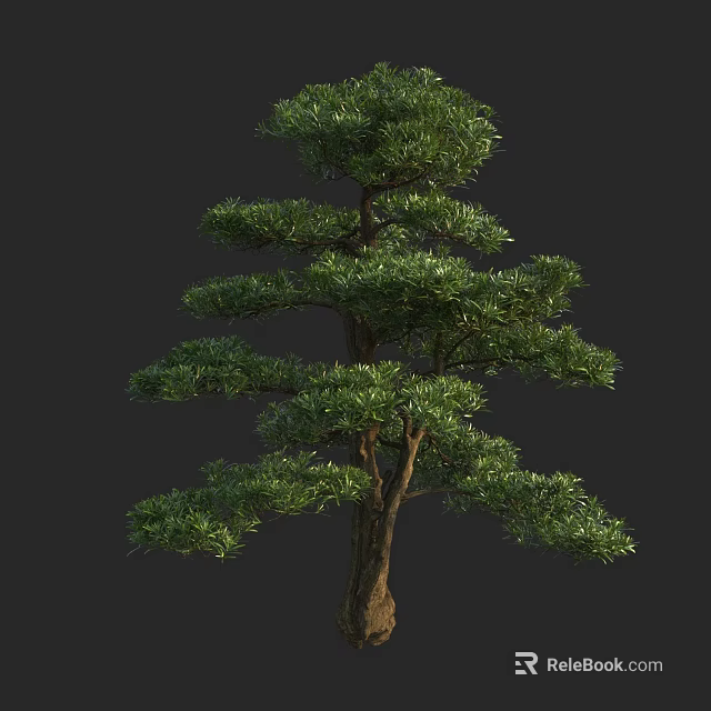 Lush Green Arbor With Elegant Branch Structure And Healthy Foliage Growth 3d model 