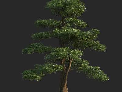 Lush Green Arbor With Elegant Branch Structure And Healthy Foliage Growth 3d model