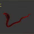 Cobra Snake Rearing Up With Slithering Body On Dark Background With Reflection 3d model