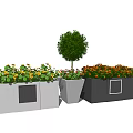 Stylish Flower Pots With Yellow Orange Flowers And Small Tree In Gray Black Design