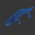Brown Salamander With Textured Skin And Extended Limbs On Dark Background 3d model