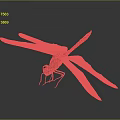 Red Dragonfly With White Wings And Yellow Eyes On Dark Background With Reflection