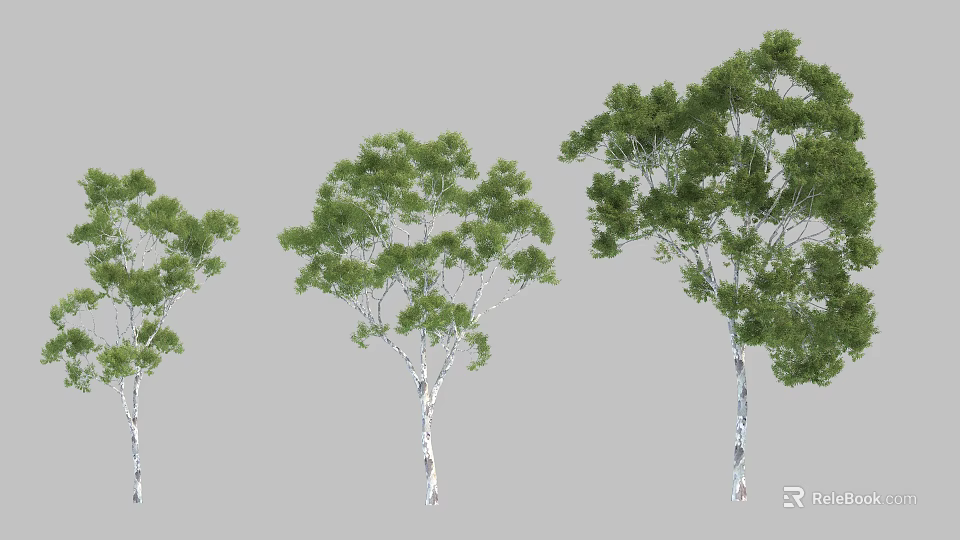 Three Different Sizes Green Leaf Trees With White Trunks Isolated On Gray Background 3d model 