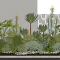 Lush Courtyard Garden Design With Palm Trees Shrubs And Modern Building Background
