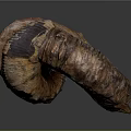 Aquatic Animal Fossil With Curved Ringed Segmented Structure Brown Gray Coloration