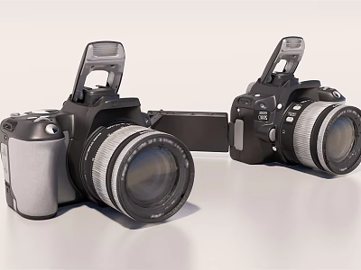 Two Silver And Black Digital Cameras With Lens And Flash Features Shown 3d model