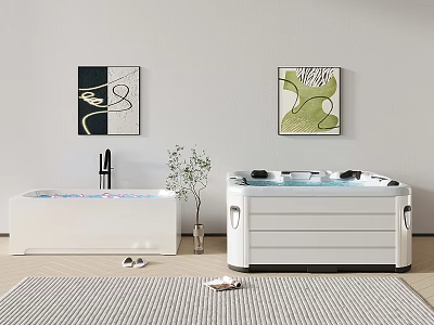 Modern Bathtub Interior Design With Wall Art Potted Plant Slippers And Rug 3d model