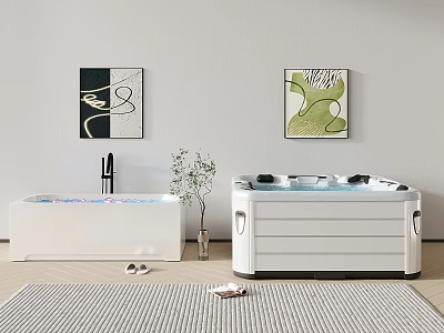 Modern Bathtub Interior Design With Wall Art Potted Plant Slippers And Rug 3d model