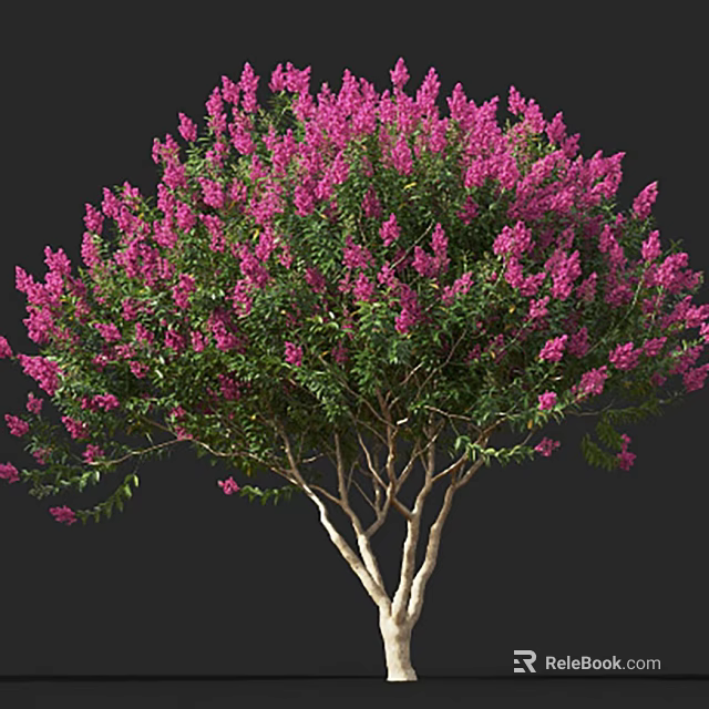 Vibrant Pink Flowering Shrub With Lush Green Leaves And Multiple Trunks 3d model 