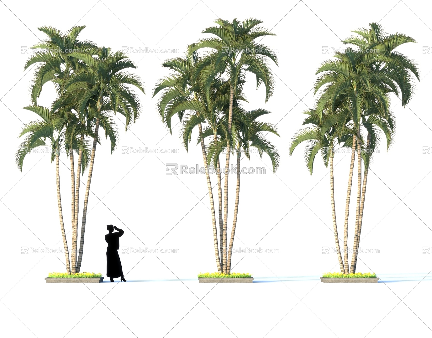 Chinese Palm Tree Scatter Kwai Tropical Plant Landscape Green Plant Group Outdoor Sick Garden Bonsai 3d model